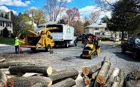 Best Tree Cabling and Bracing  in Remerton, GA