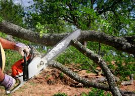 Best Lawn Grading and Leveling  in Remerton, GA