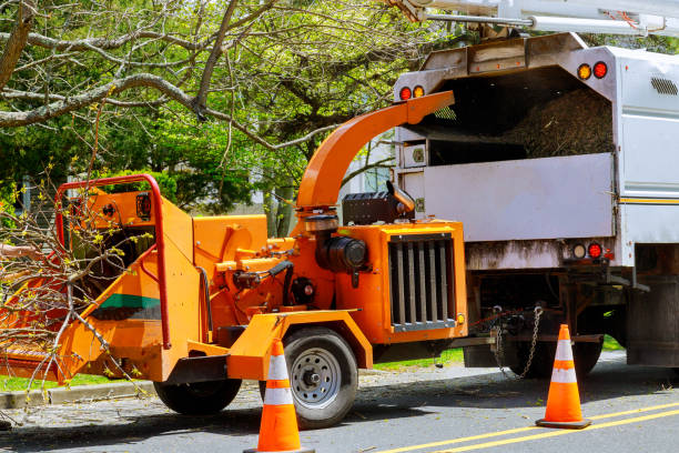 Best Firewood Processing and Delivery  in Remerton, GA