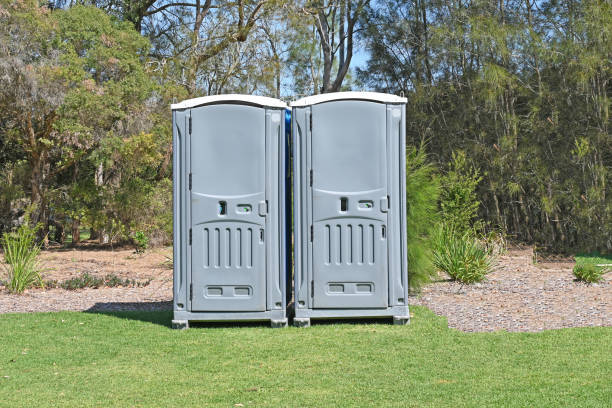 Best Landscape Design and Installation  in Remerton, GA